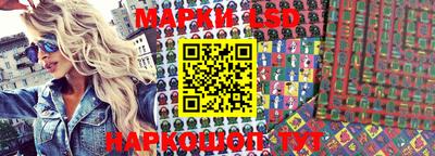 индика Новозыбков