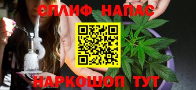 индика Новозыбков