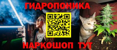 a pvp Новодвинск