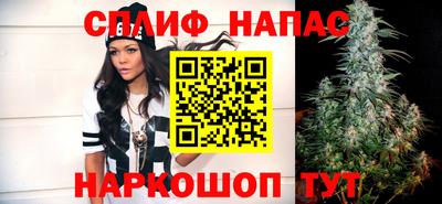 a pvp Новодвинск