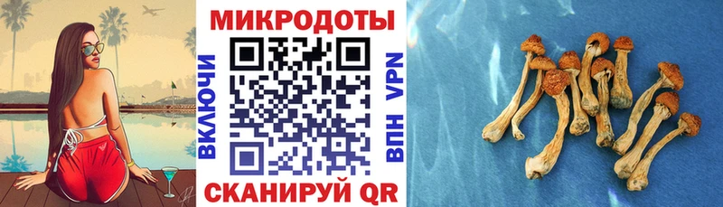 блэк спрут ONION  Орск  Галлюциногенные грибы ЛСД 