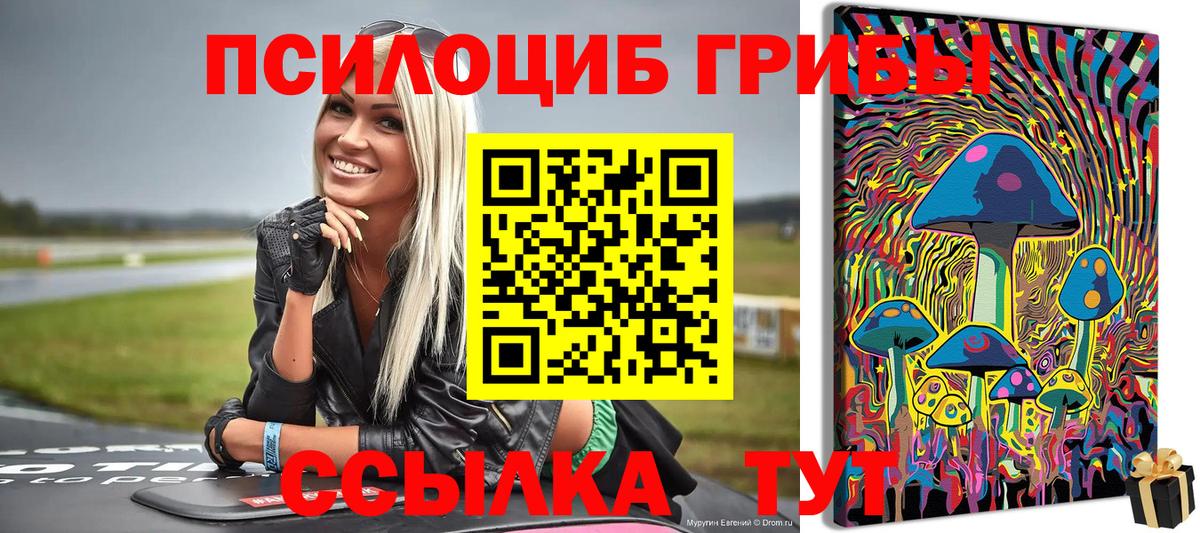 Псилоцибиновые грибы мицелий  Вход с VPN  Орск 